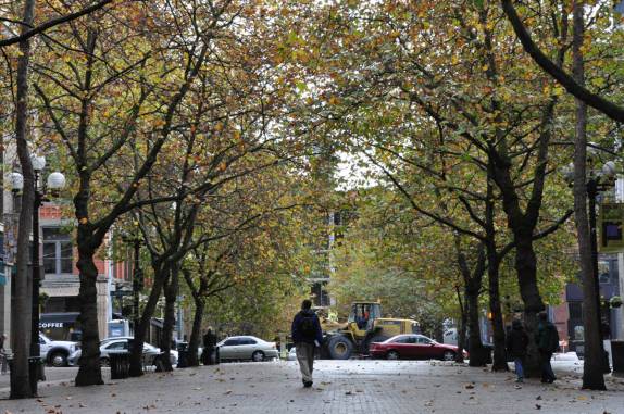 caminhando em bela alamenda na Pionner Square, no centro de Seattle, no estado de Washington, nos Estados Unidos